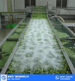 菠蘿沖浪式氣泡清洗機圖片 菠蘿沖浪式氣泡清洗機 諸城廣盈機械